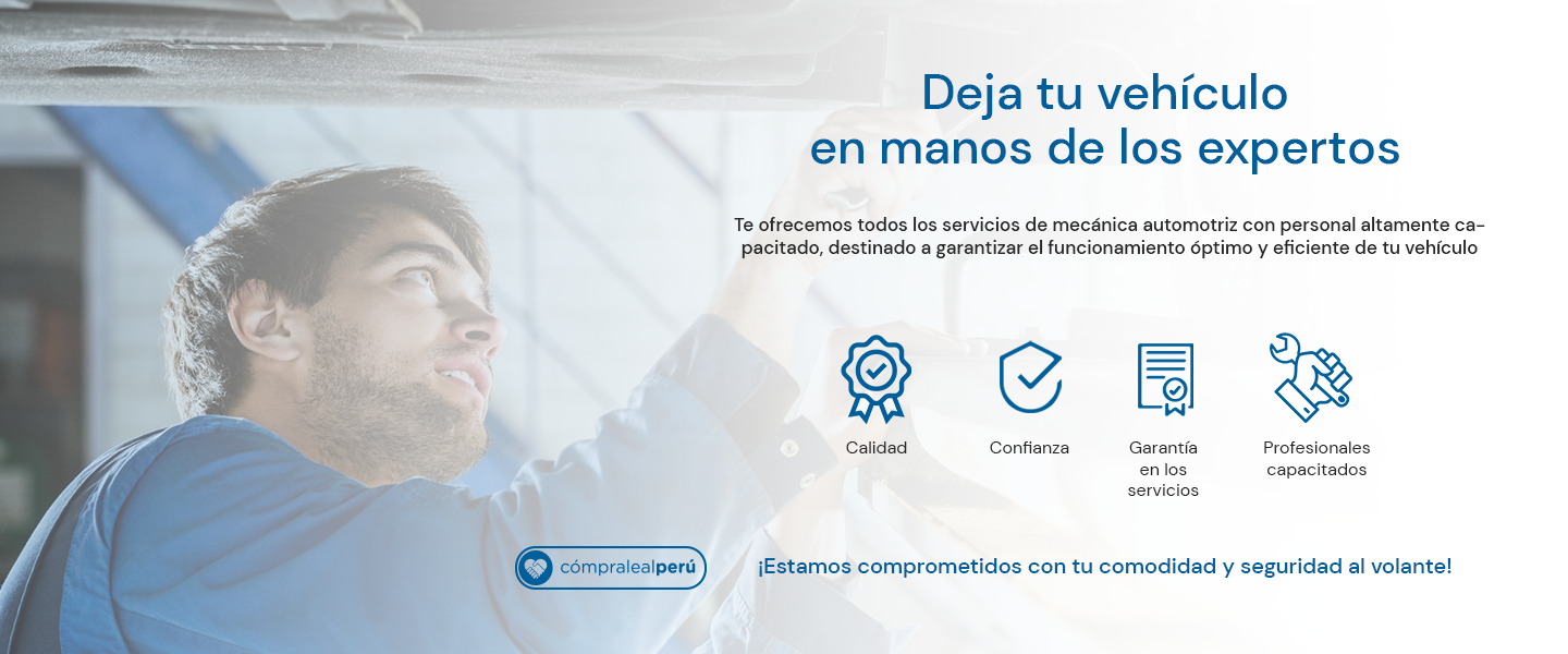 Deja tu vehículo en manos de expertos